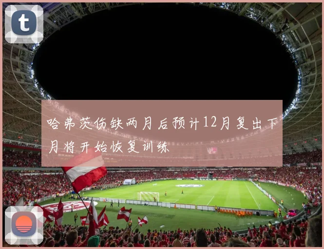 哈弗茨伤缺两月后预计12月复出下月将开始恢复训练